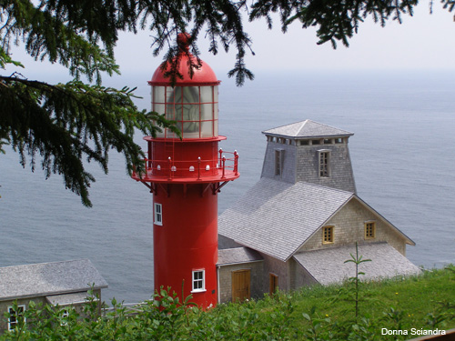 Lighthouse by Donna Sciandra